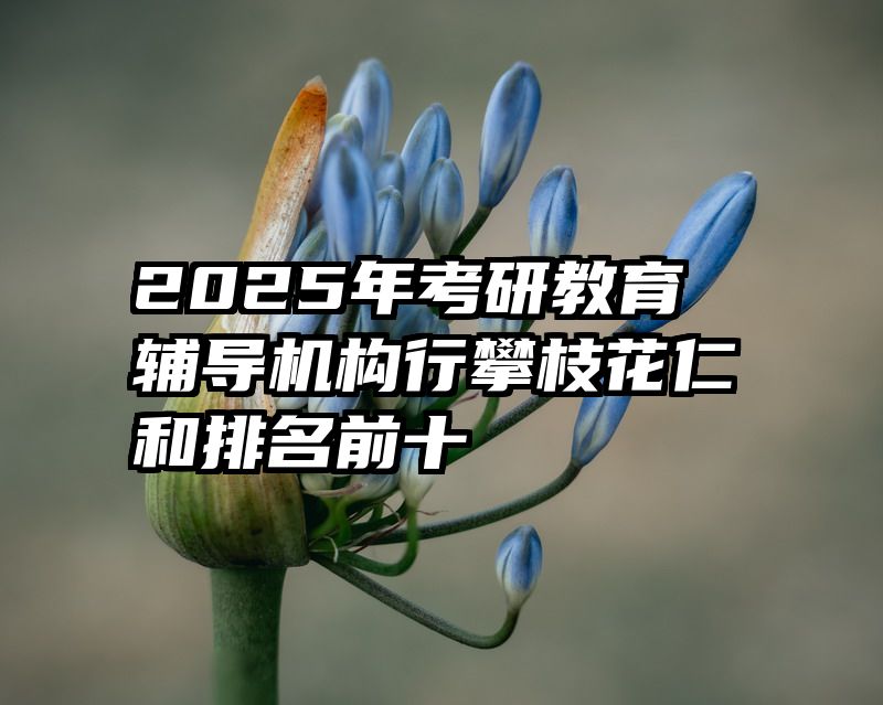 2025年考研教育辅导机构行攀枝花仁和排名前十