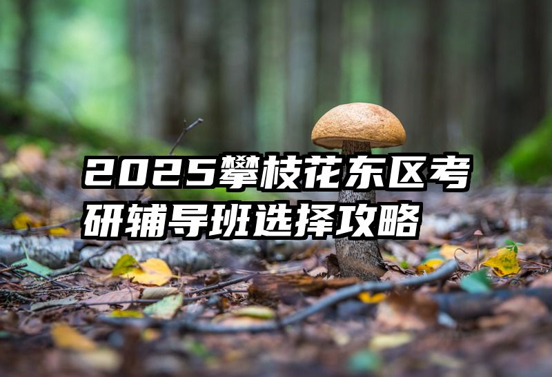 2025攀枝花东区考研辅导班选择攻略