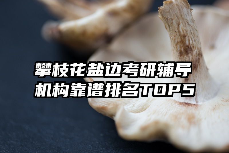 攀枝花盐边考研辅导机构靠谱排名TOP5