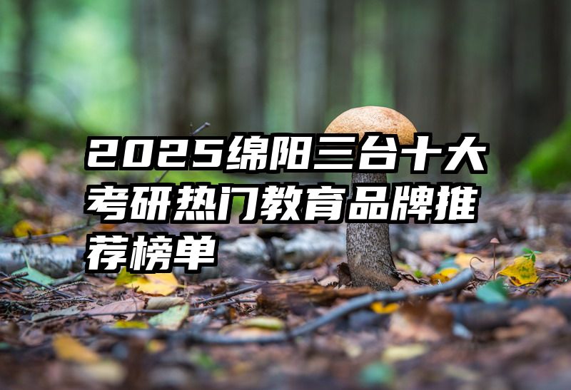 2025绵阳三台十大考研热门教育品牌推荐榜单