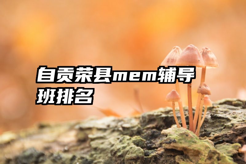 自贡荣县mem辅导班排名