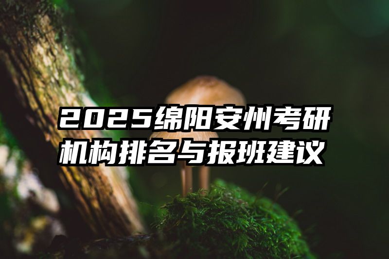2025绵阳安州考研机构排名与报班建议