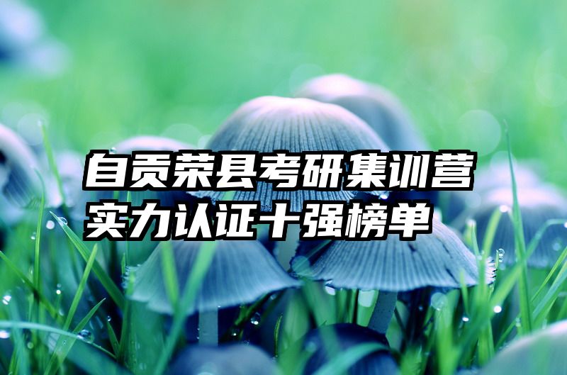 自贡荣县考研集训营实力认证十强榜单