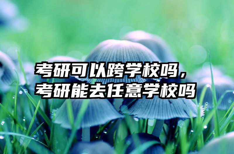 考研可以跨学校吗，考研能去任意学校吗