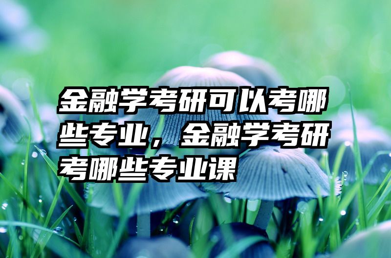 金融学考研可以考哪些专业，金融学考研考哪些专业课
