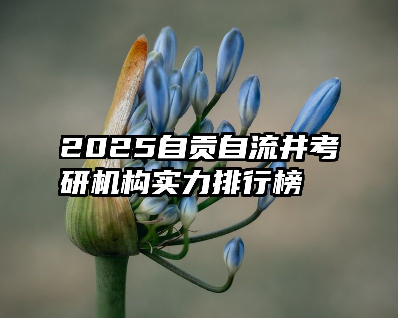 2025自贡自流井考研机构实力排行榜
