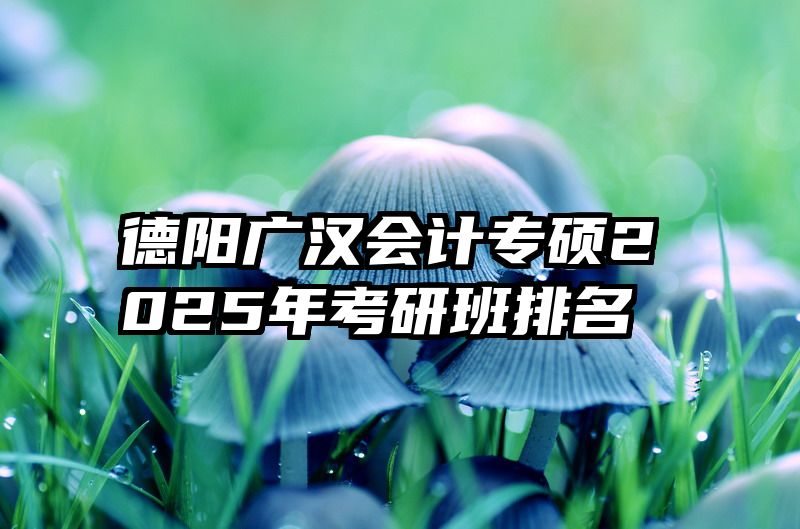 德阳广汉会计专硕2025年考研班排名