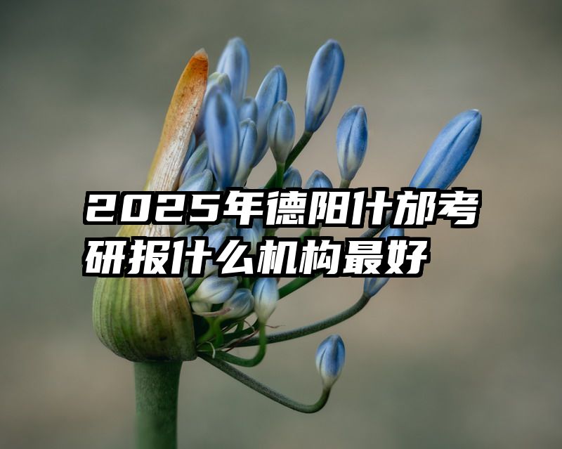 2025年德阳什邡考研报什么机构最好