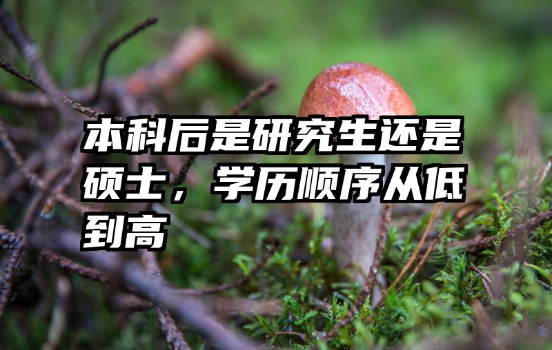 本科后是研究生还是硕士，学历顺序从低到高