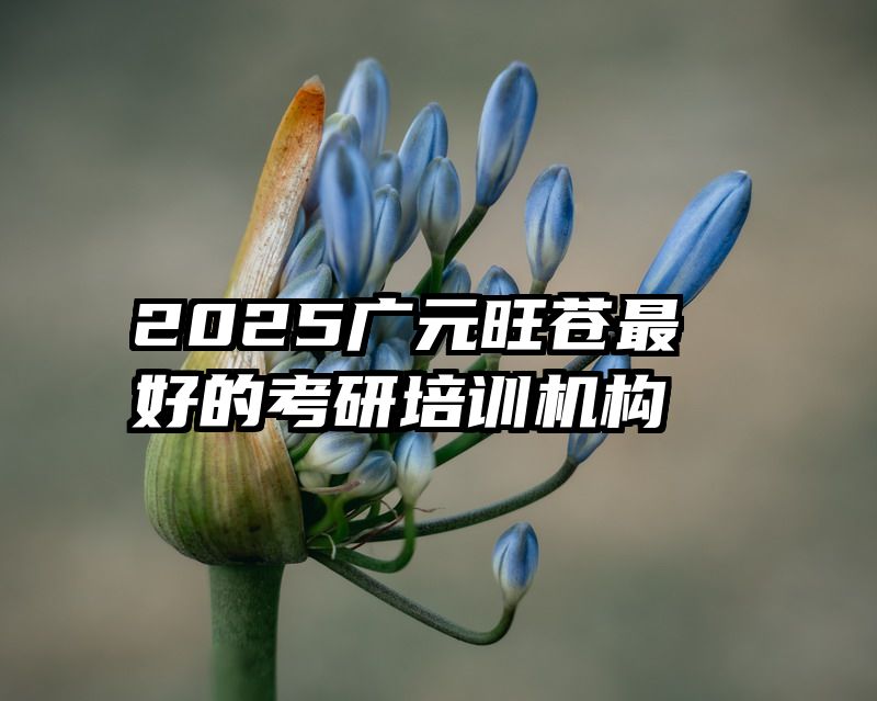 2025广元旺苍最好的考研培训机构