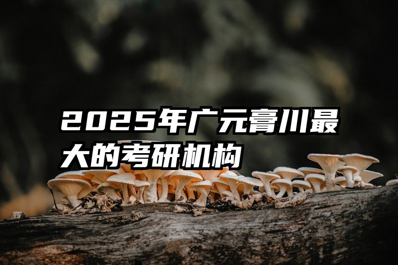 2025年广元膏川最大的考研机构