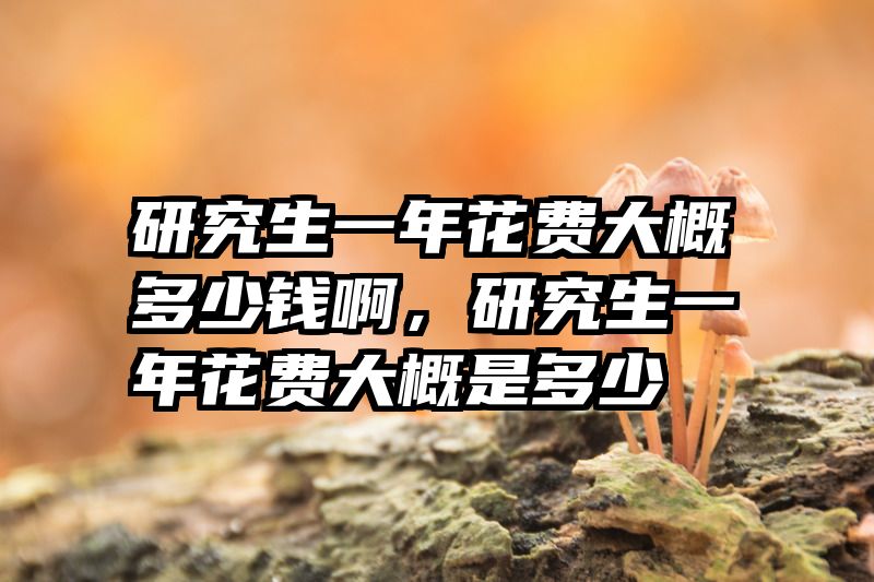 研究生一年花费大概多少钱啊，研究生一年花费大概是多少