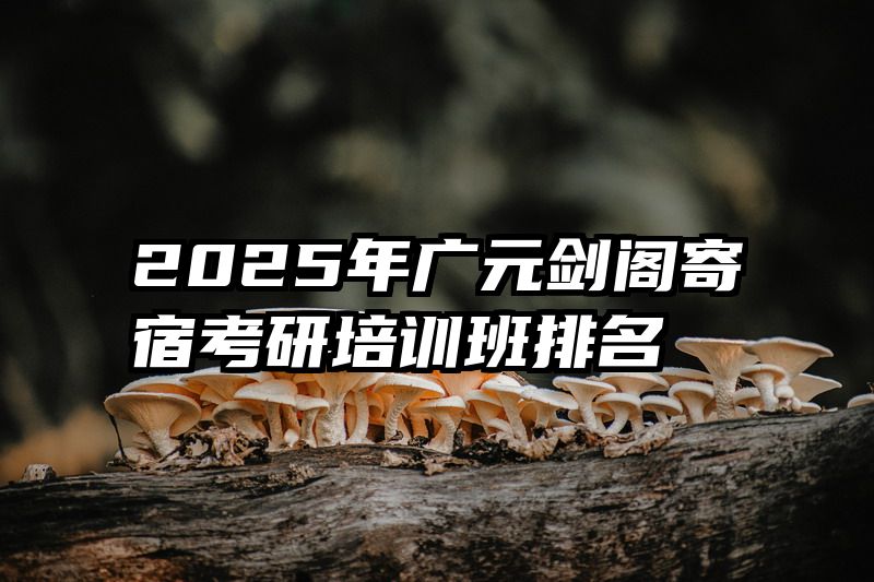 2025年广元剑阁寄宿考研培训班排名