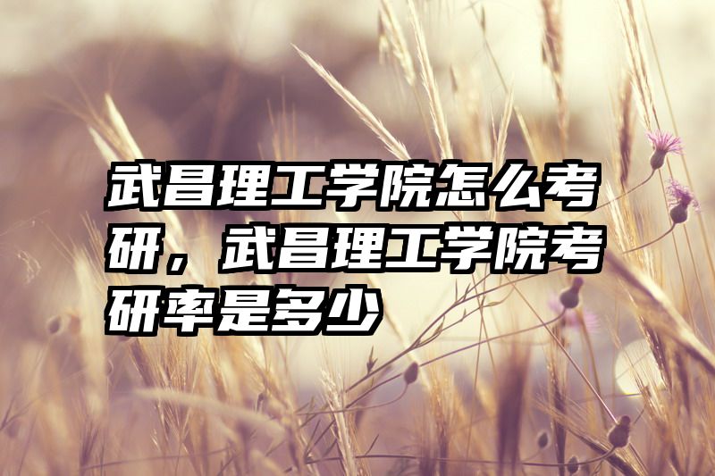 武昌理工学院怎么考研，武昌理工学院考研率是多少