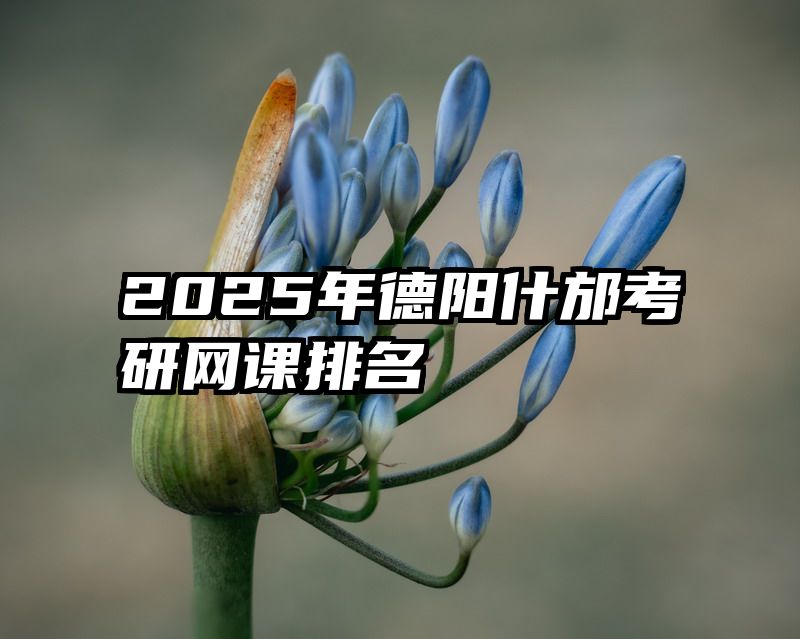 2025年德阳什邡考研网课排名