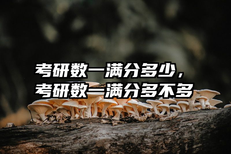 考研数一满分多少，考研数一满分多不多