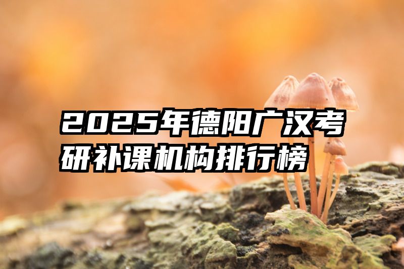 2025年德阳广汉考研补课机构排行榜