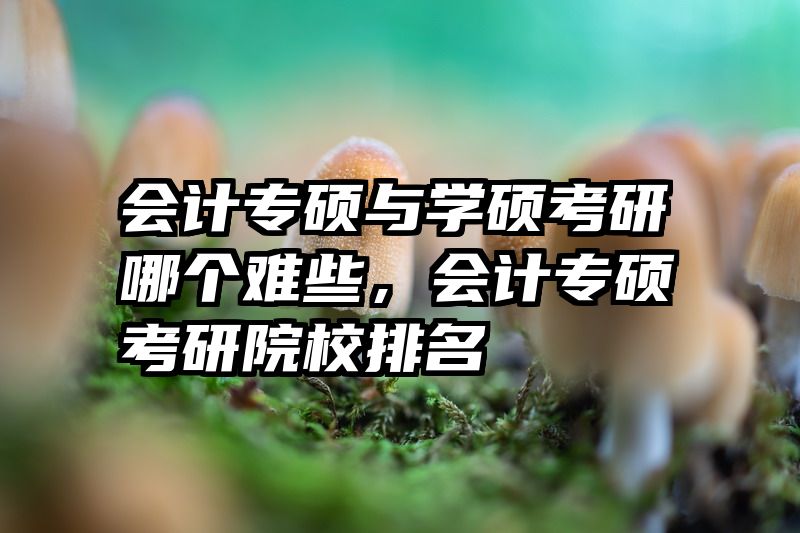 会计专硕与学硕考研哪个难些，会计专硕考研院校排名