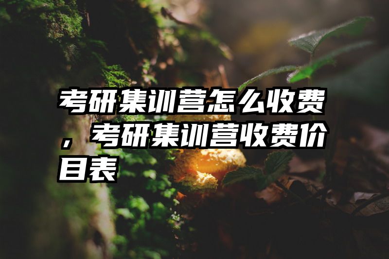 考研集训营怎么收费，考研集训营收费价目表