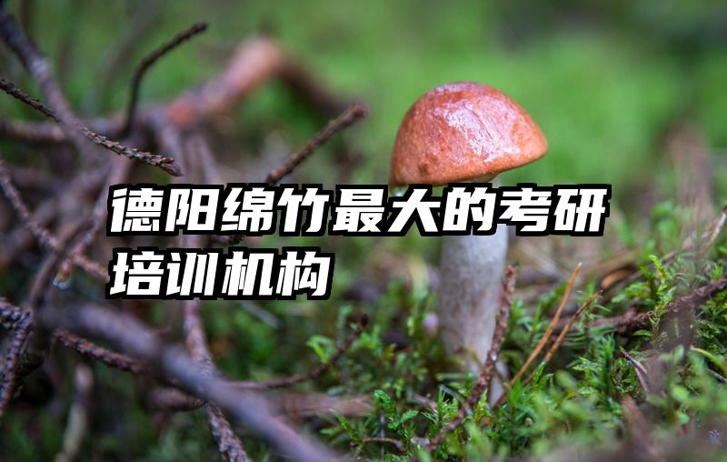 德阳绵竹最大的考研培训机构