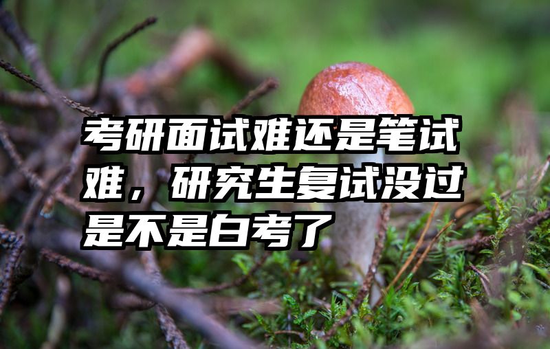 考研面试难还是笔试难，研究生复试没过是不是白考了