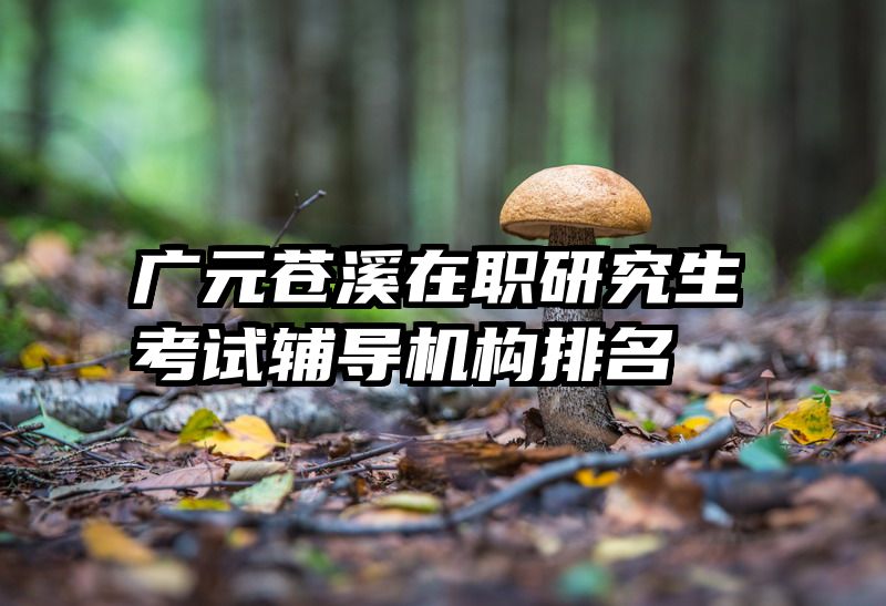 广元苍溪在职研究生考试辅导机构排名