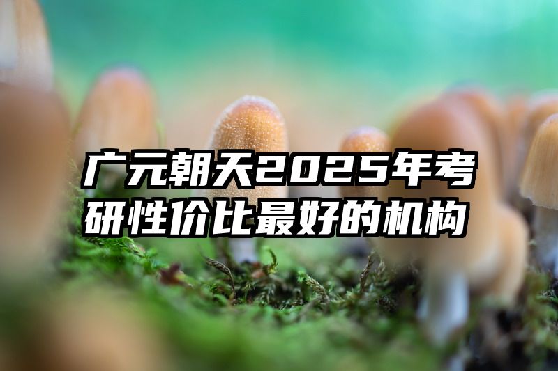 广元朝天2025年考研性价比最好的机构
