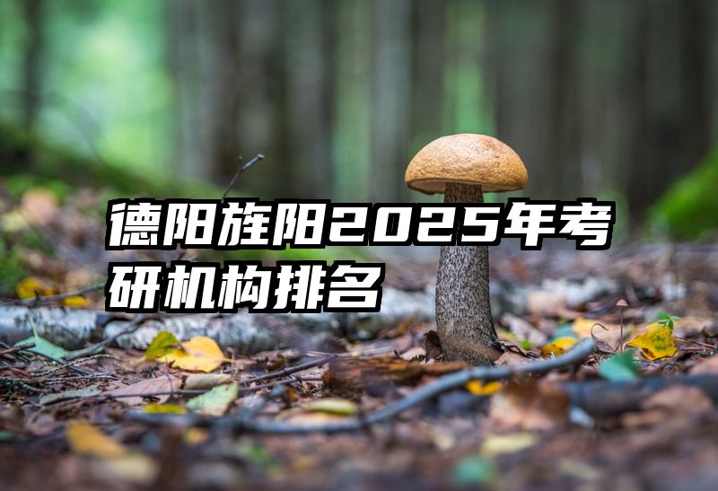 德阳旌阳2025年考研机构排名