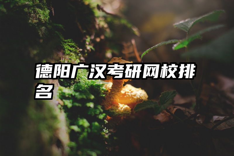 德阳广汉考研网校排名
