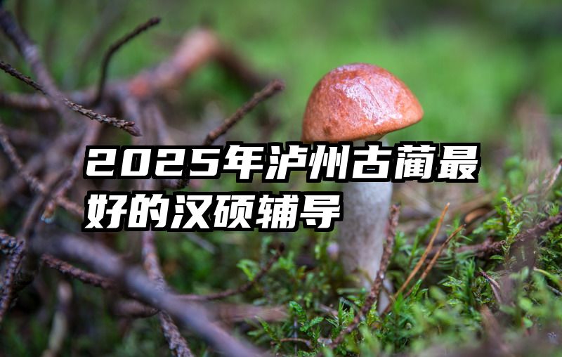 2025年泸州古蔺最好的汉硕辅导