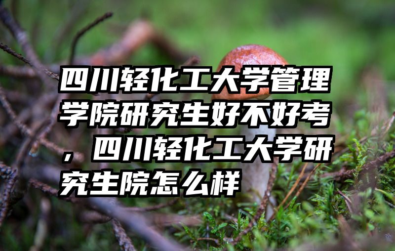 四川轻化工大学管理学院研究生好不好考，四川轻化工大学研究生院怎么样