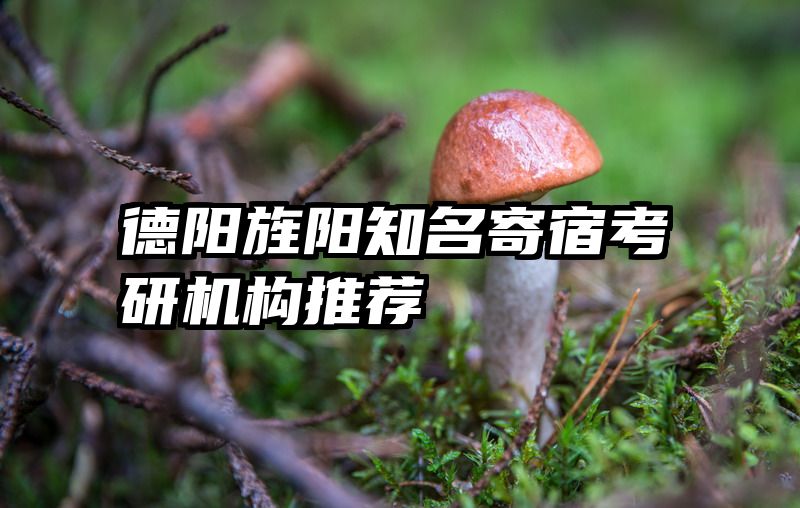 德阳旌阳知名寄宿考研机构推荐