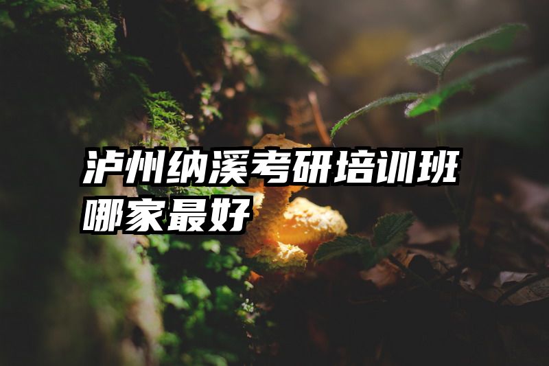 泸州纳溪考研培训班哪家最好