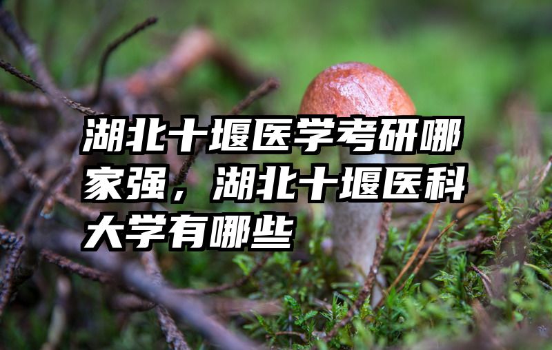 湖北十堰医学考研哪家强，湖北十堰医科大学有哪些