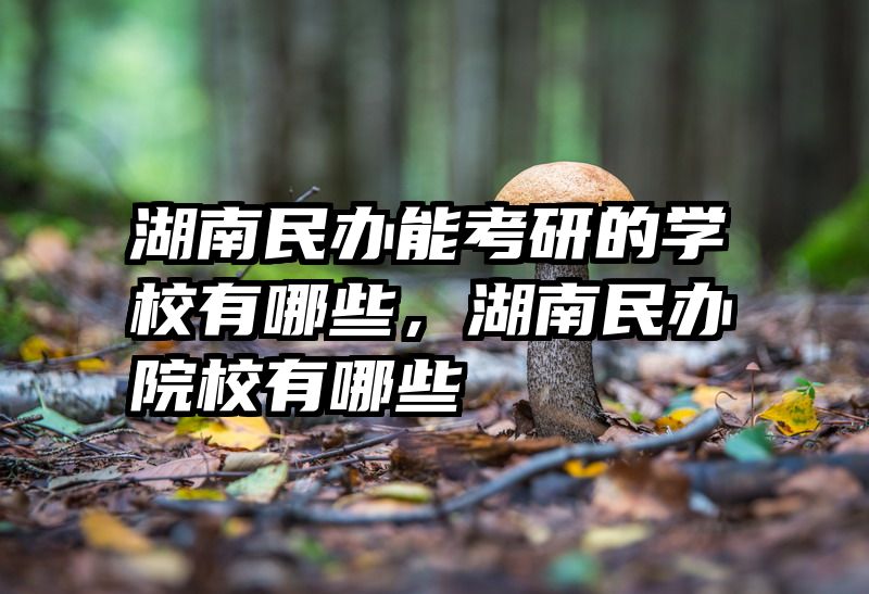 湖南民办能考研的学校有哪些，湖南民办院校有哪些