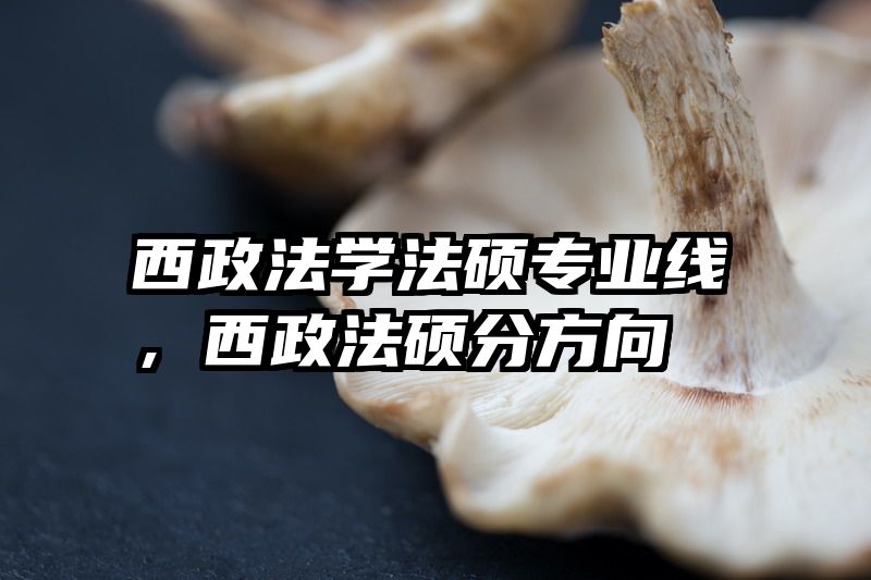 西政法学法硕专业线，西政法硕分方向
