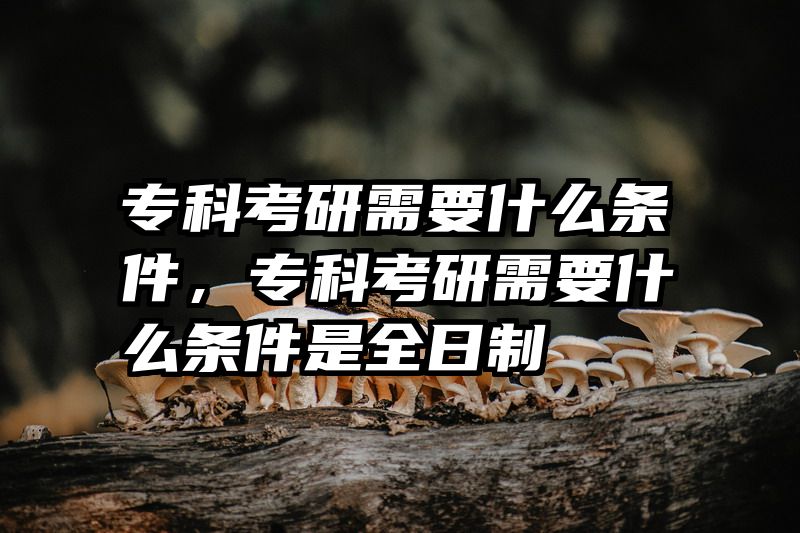专科考研需要什么条件，专科考研需要什么条件是全日制
