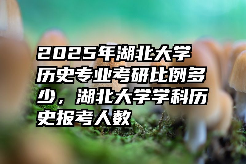 2025年湖北大学历史专业考研比例多少，湖北大学学科历史报考人数