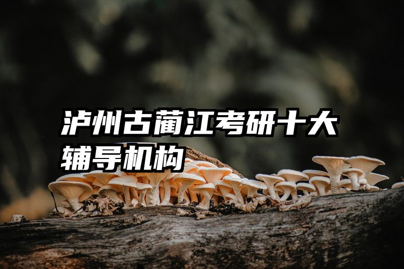 泸州古蔺江考研十大辅导机构
