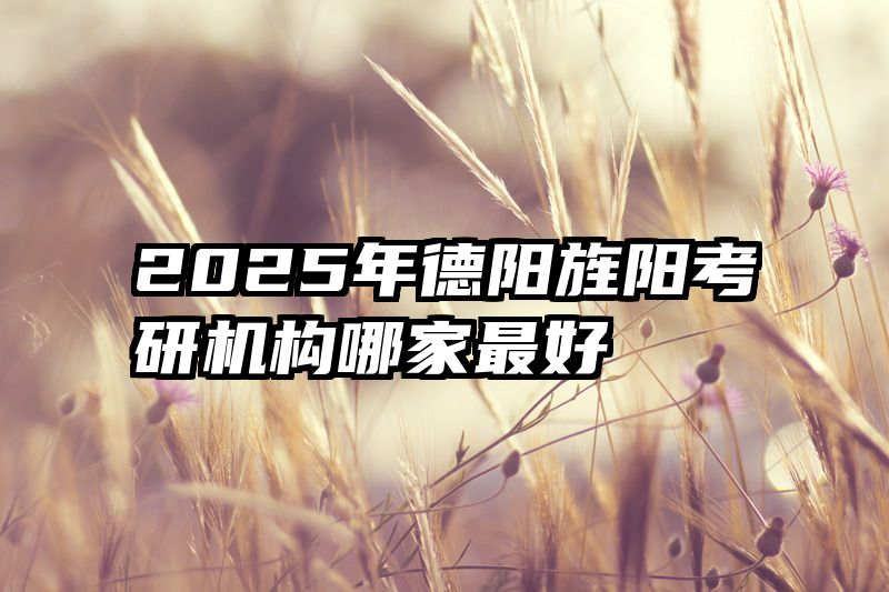 2025年德阳旌阳考研机构哪家最好