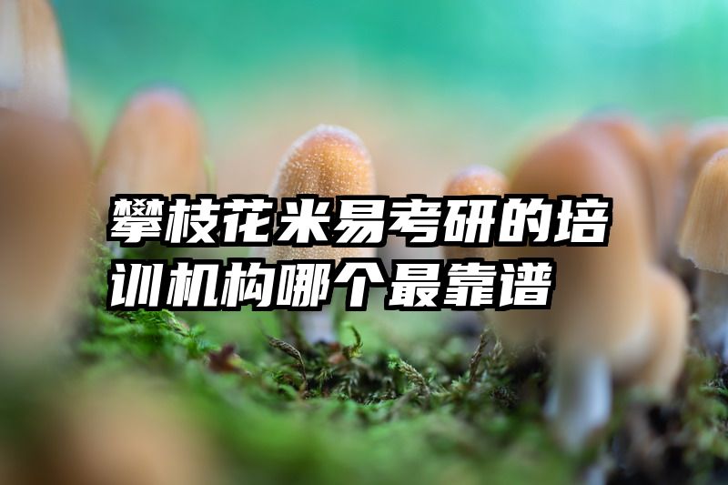 攀枝花米易考研的培训机构哪个最靠谱