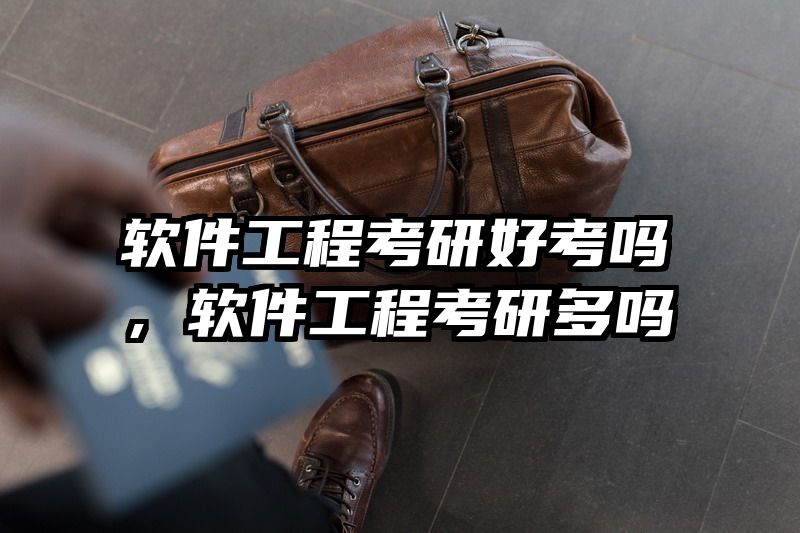 软件工程考研好考吗,软件工程考研多吗