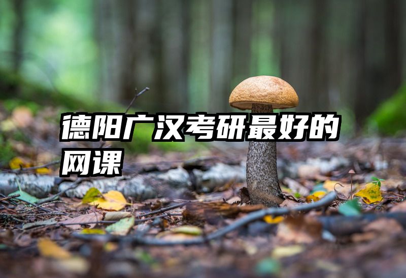 德阳广汉考研最好的网课
