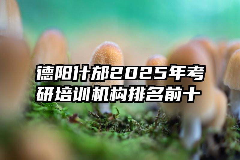 德阳什邡2025年考研培训机构排名前十
