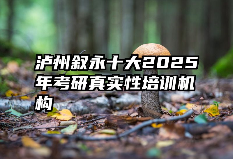 泸州叙永十大2025年考研真实性培训机构