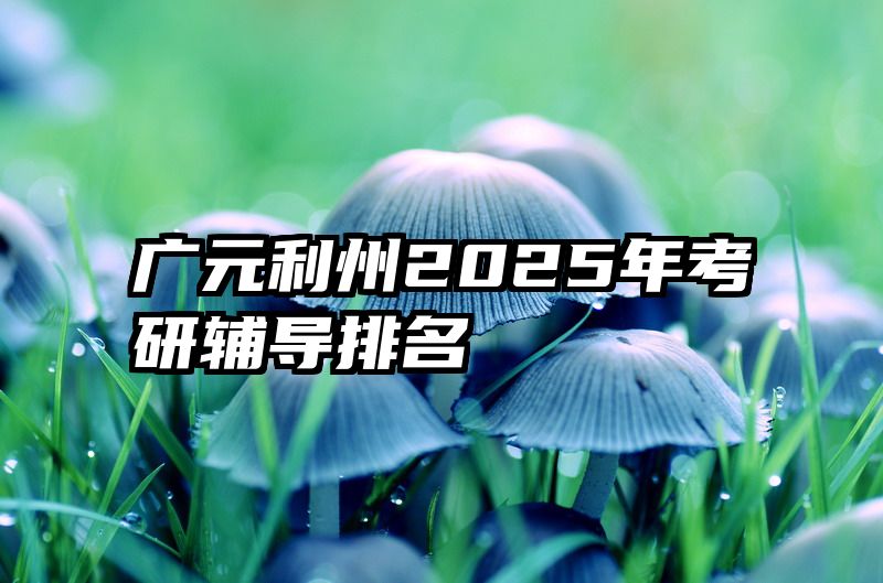广元利州2025年考研辅导排名
