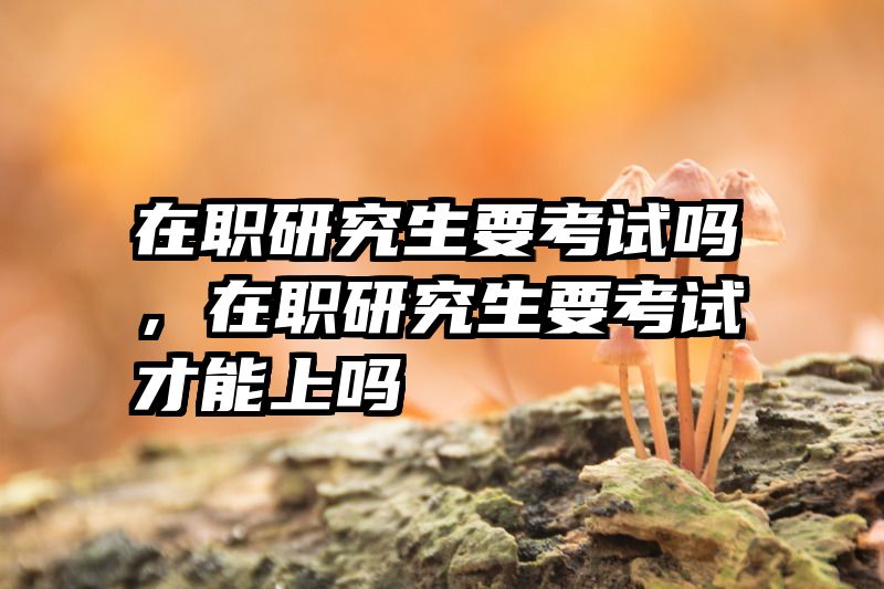 在职研究生要考试吗，在职研究生要考试才能上吗