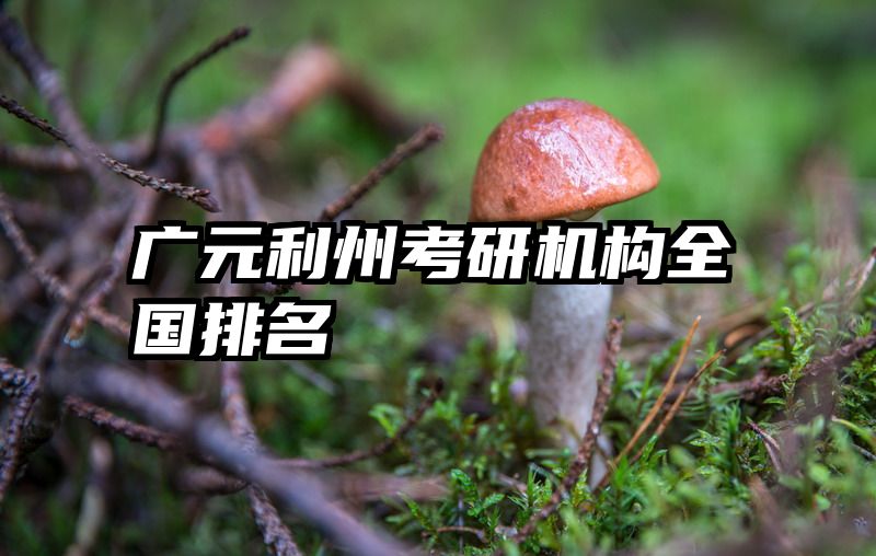 广元利州考研机构全国排名