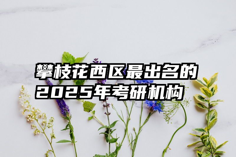 攀枝花西区最出名的2025年考研机构