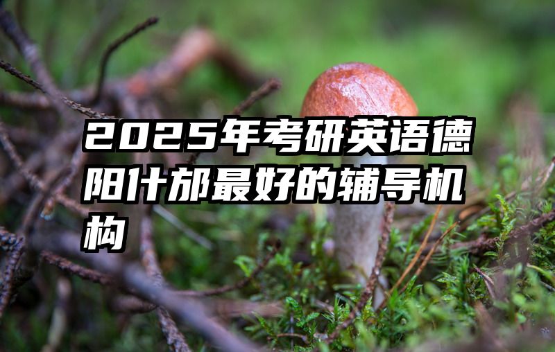 2025年考研英语德阳什邡最好的辅导机构